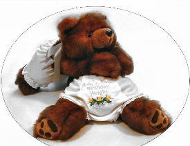 Baby Bear 02