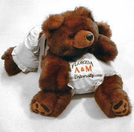 FAMU Bear 06