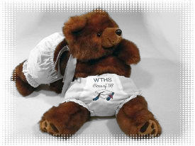 Graduation Bear 07